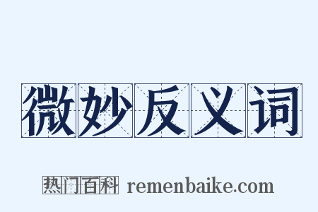 微妙反义词是什么意思的图片